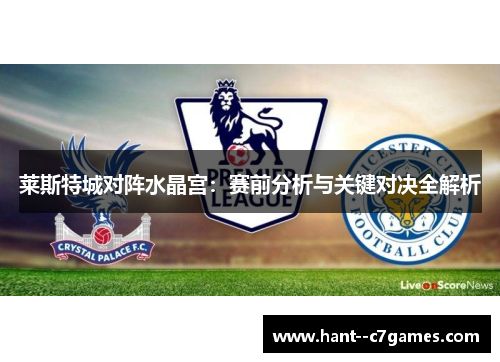 莱斯特城对阵水晶宫：赛前分析与关键对决全解析