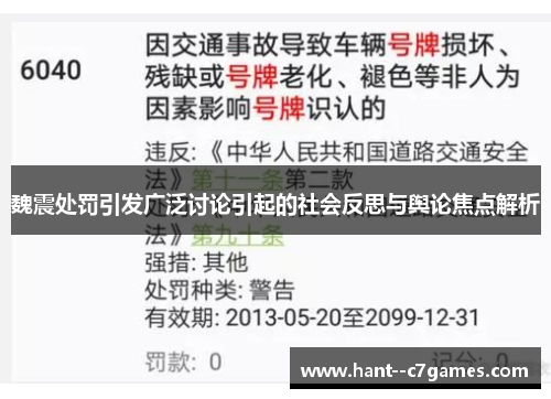 魏震处罚引发广泛讨论引起的社会反思与舆论焦点解析